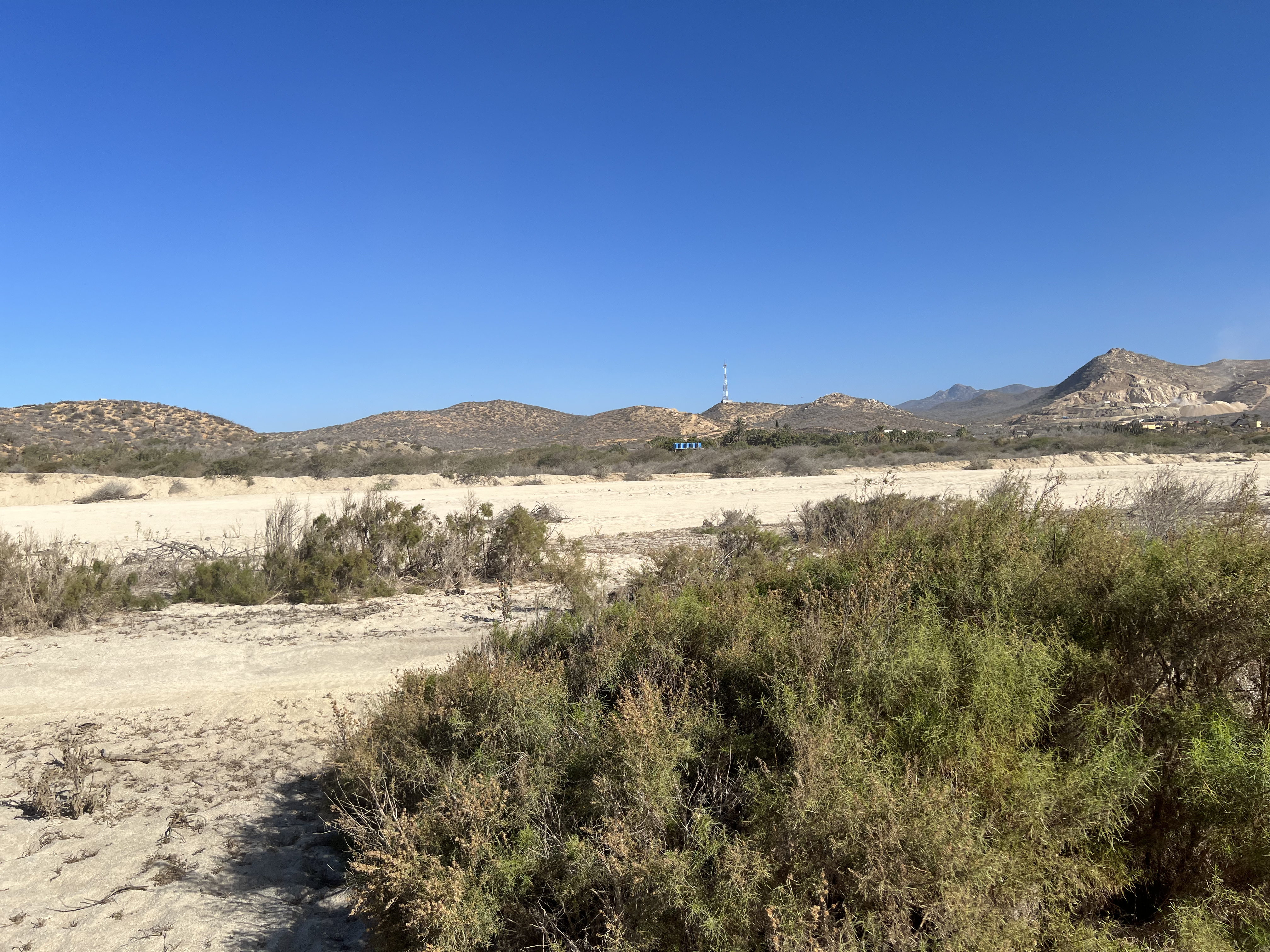 ./2024/13 - Cabo/IMG_4495.jpg